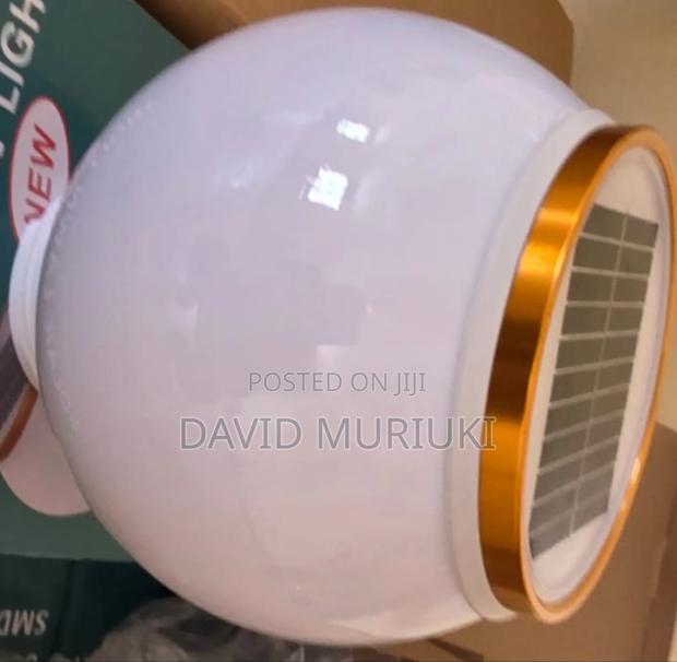 Solar Lawn Light/Garden Light.
