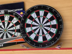 Professional Dartboard Game - main view