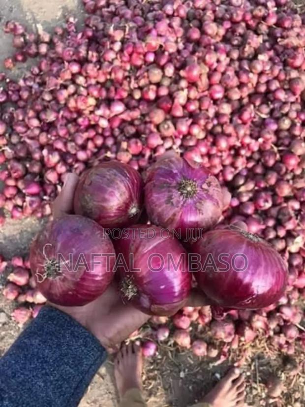 Fresh Onions - main view
