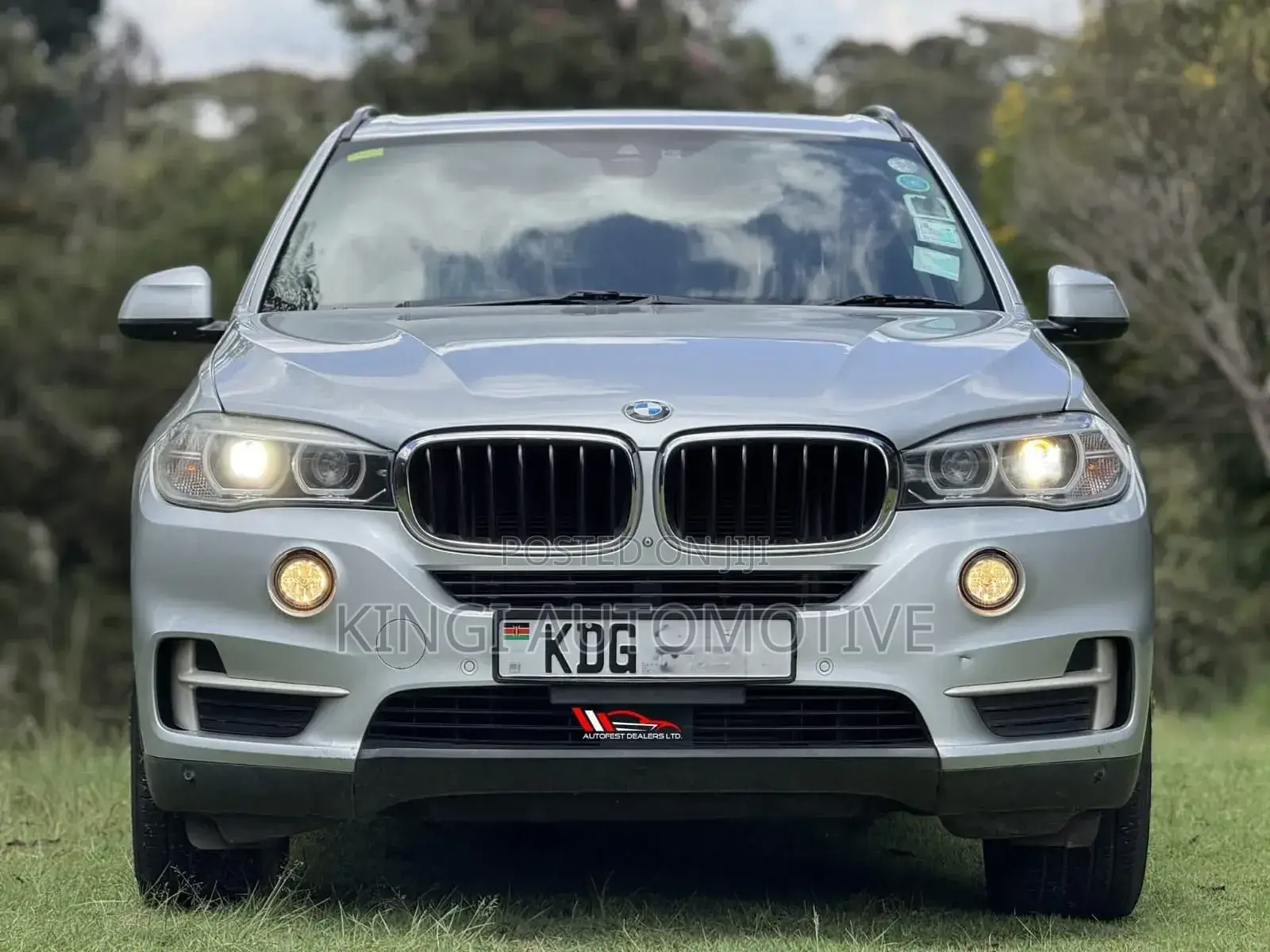 BMW X5 2016 Silver