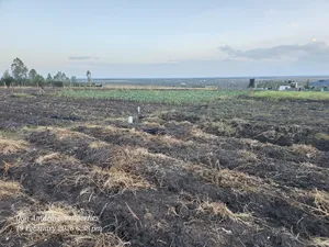 1/4 Acre Plot in Kitengela Oloika for Sale Ideal for Residential