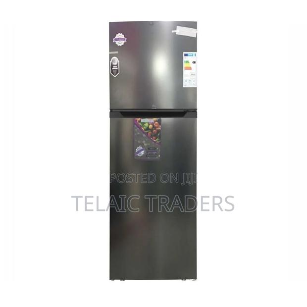 Roch 251l Double Door Fridge RFR-325dt-I