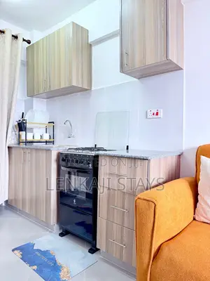 Fully Furnished Studio in Ngara