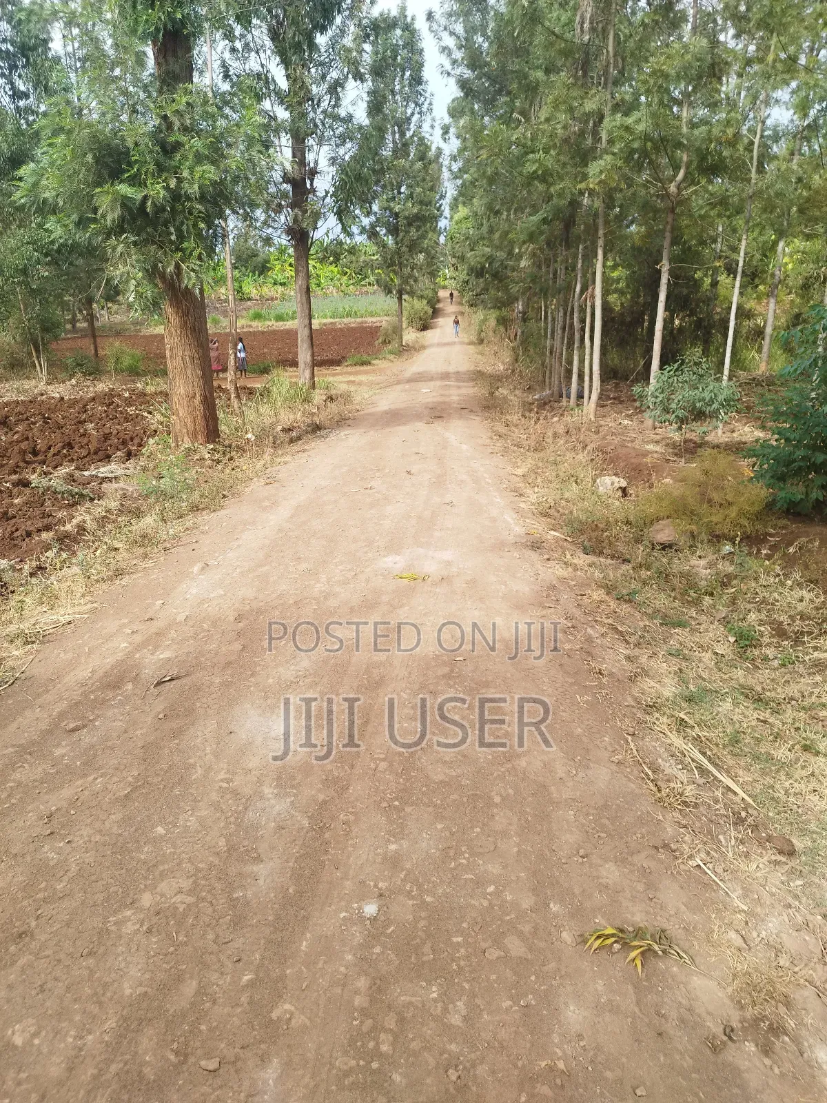 Prime Residential Plot in Kerugoya, Giacai Kirinyaga County .