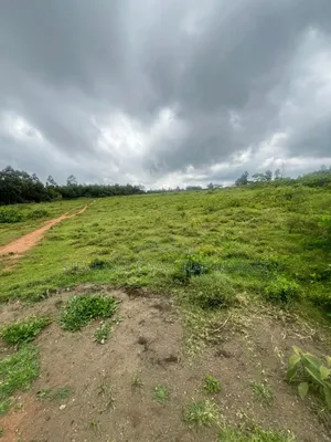 Ready Clean Tittle Deed, Land for Sale in Kisumu Nyanza Region