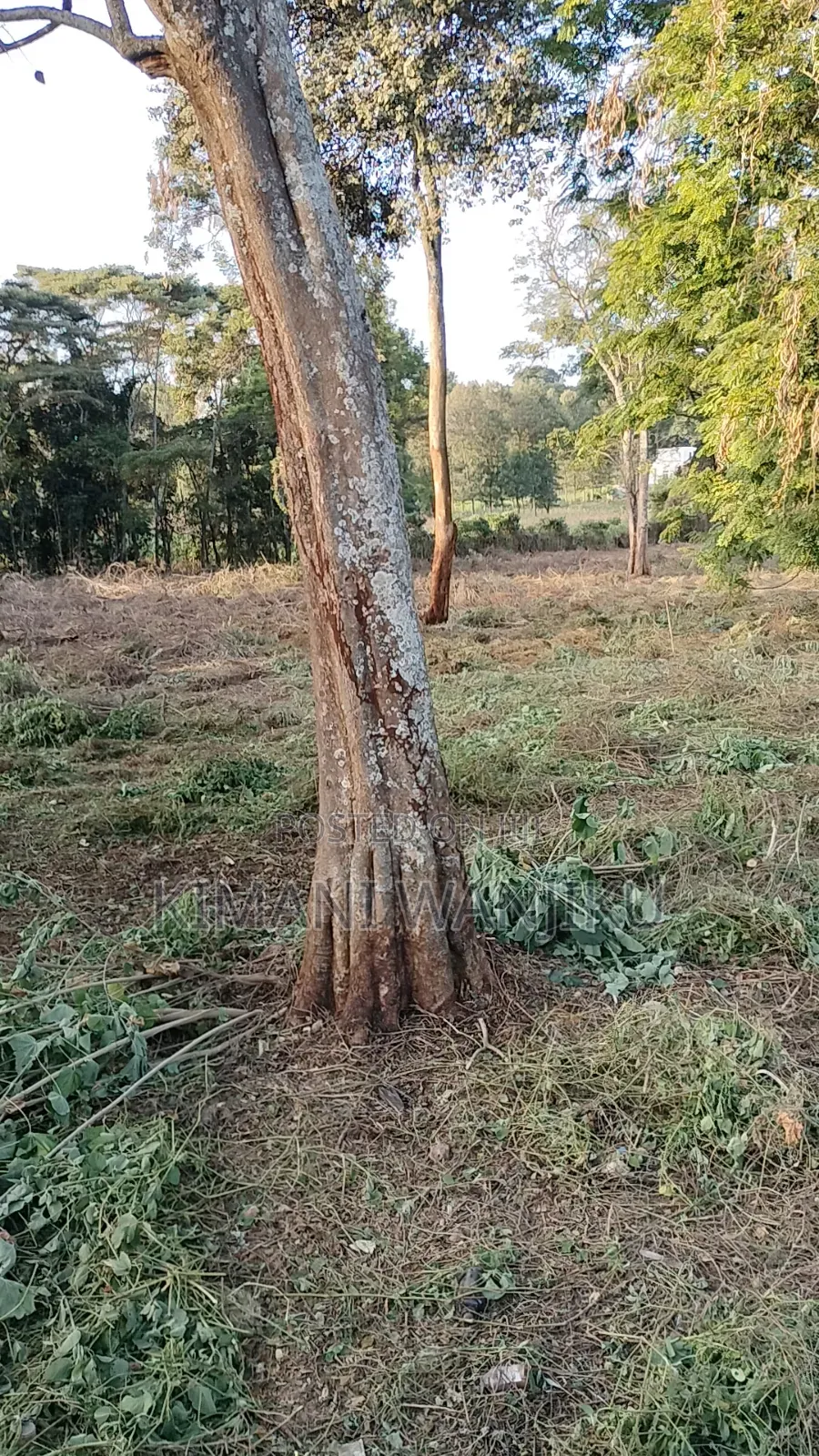 Prime Land For Sale