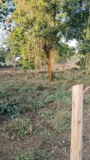 Prime Land For Sale