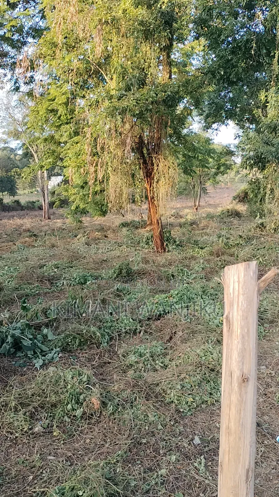 Prime Land For Sale