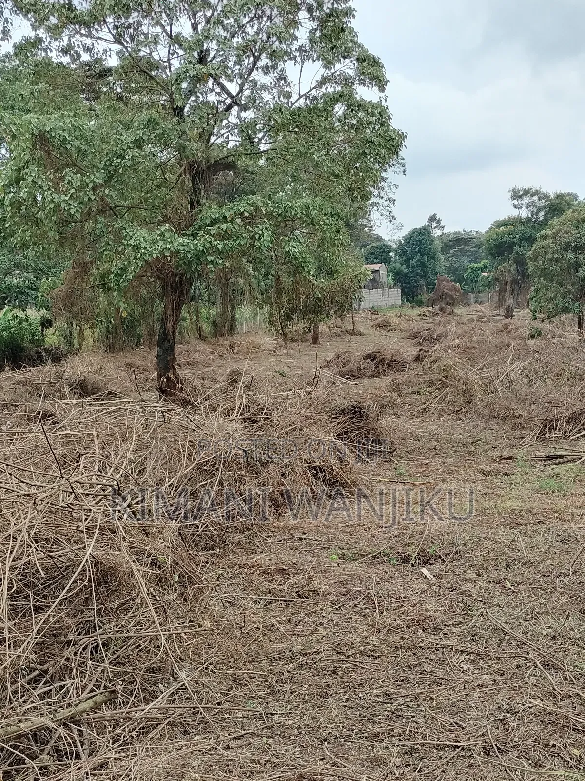 Prime Land For Sale