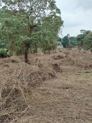 Prime Land For Sale