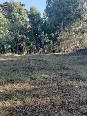 Prime Land For Sale