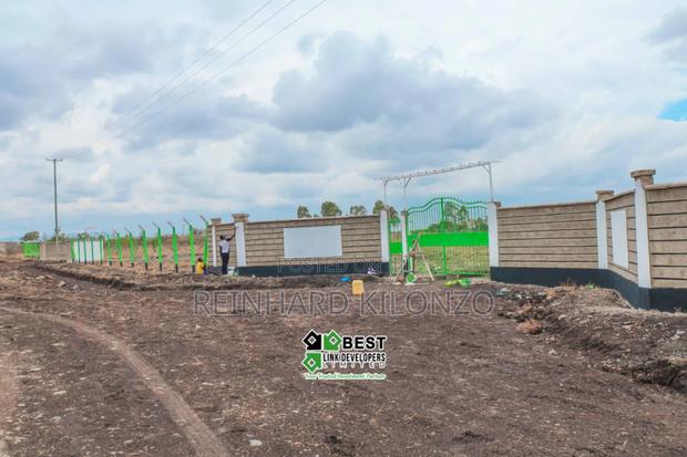 Ruiru Kamakis - Mwalimu Farm - main view