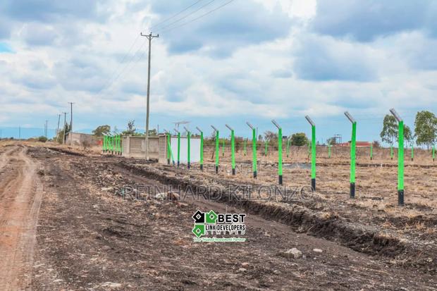 Ruiru Kamakis - Mwalimu Farm - thumbnail 3