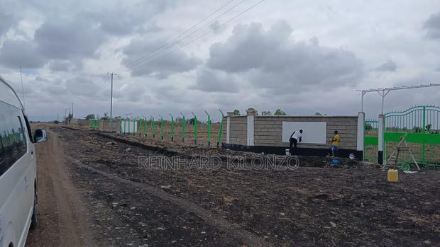 Ruiru Kamakis - Mwalimu Farm - thumbnail 4