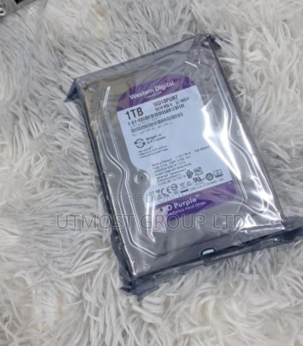 1tb Wd Surveillance Disk – Professional Security Storage Solution - main view