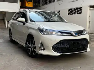 Toyota Corolla Fielder 2019 White