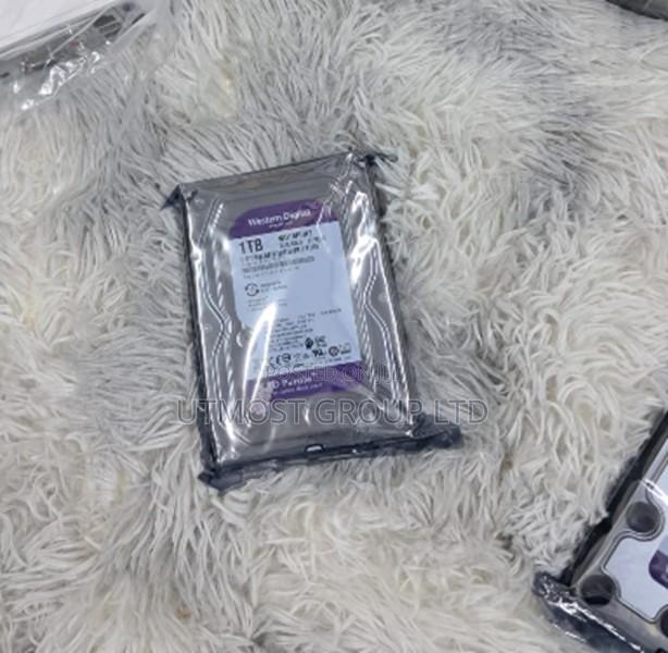Western Digital 1tb Security Hard Disk – Stable Monitoring Storage