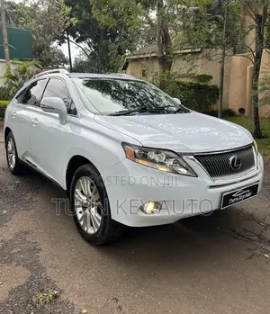 Lexus RX 2011 White