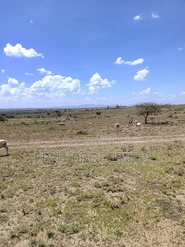 100 and 50 Acres Adjacent Parcels for Sale at 2.1m Per Acre