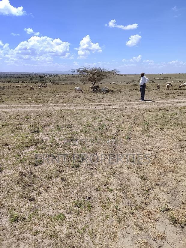 100 and 50 Acres Adjacent Parcels for Sale at 2.1m Per Acre - thumbnail 3