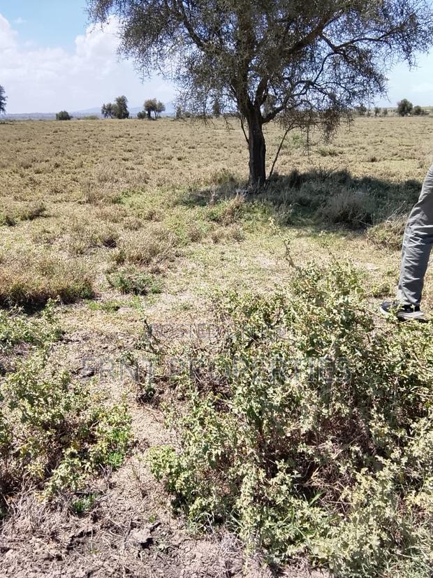 100 and 50 Acres Adjacent Parcels for Sale at 2.1m Per Acre - thumbnail 7