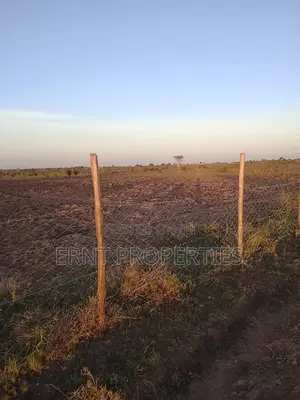 10 Acres Fertile Agricultural Land for Sale, Kajiado Enkirigiri