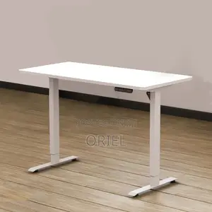Office Desk : 1.6m Office Electric Height Adjustable Computer Desk