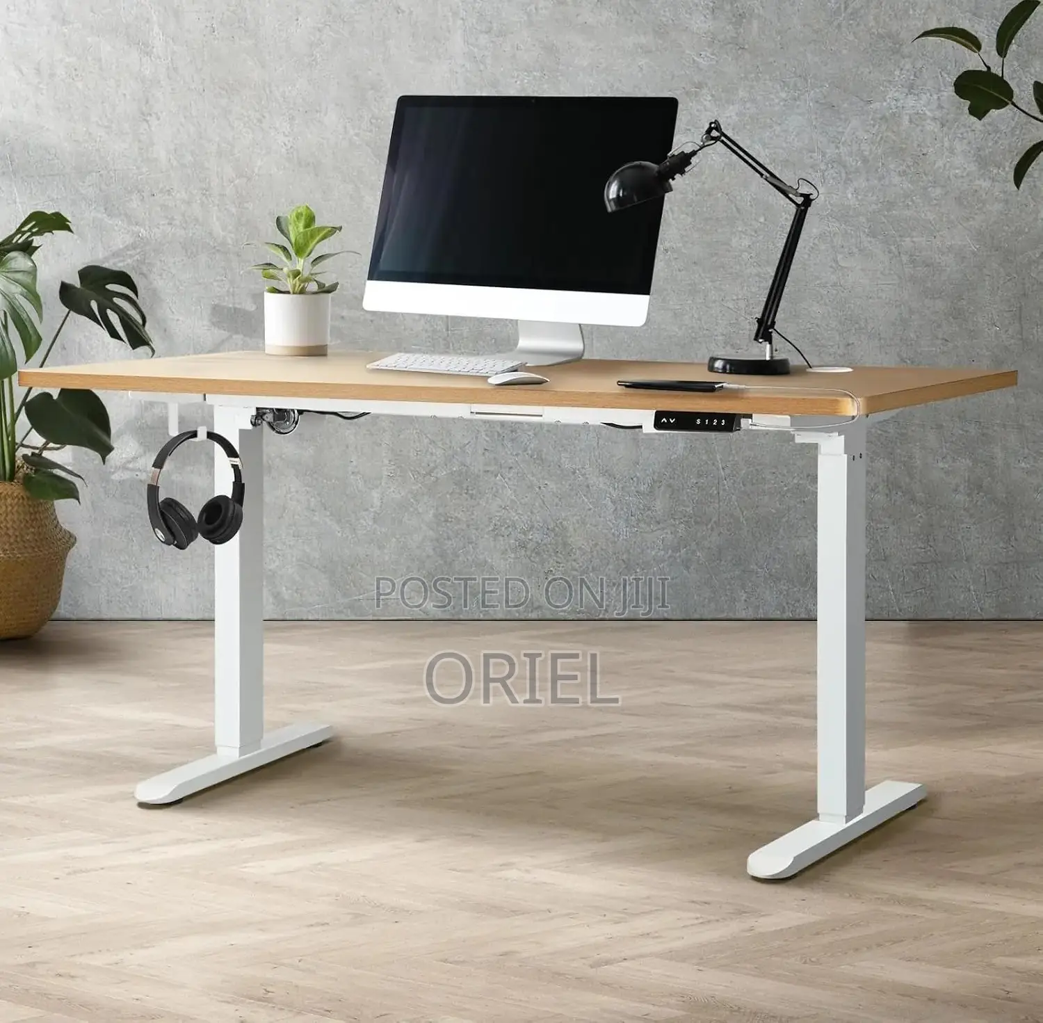 Office Desk : 1.6m Office Electric Height Adjustable Computer Desk