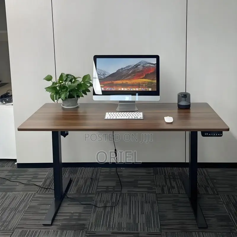 Office Desk : 1.6m Office Electric Height Adjustable Computer Desk