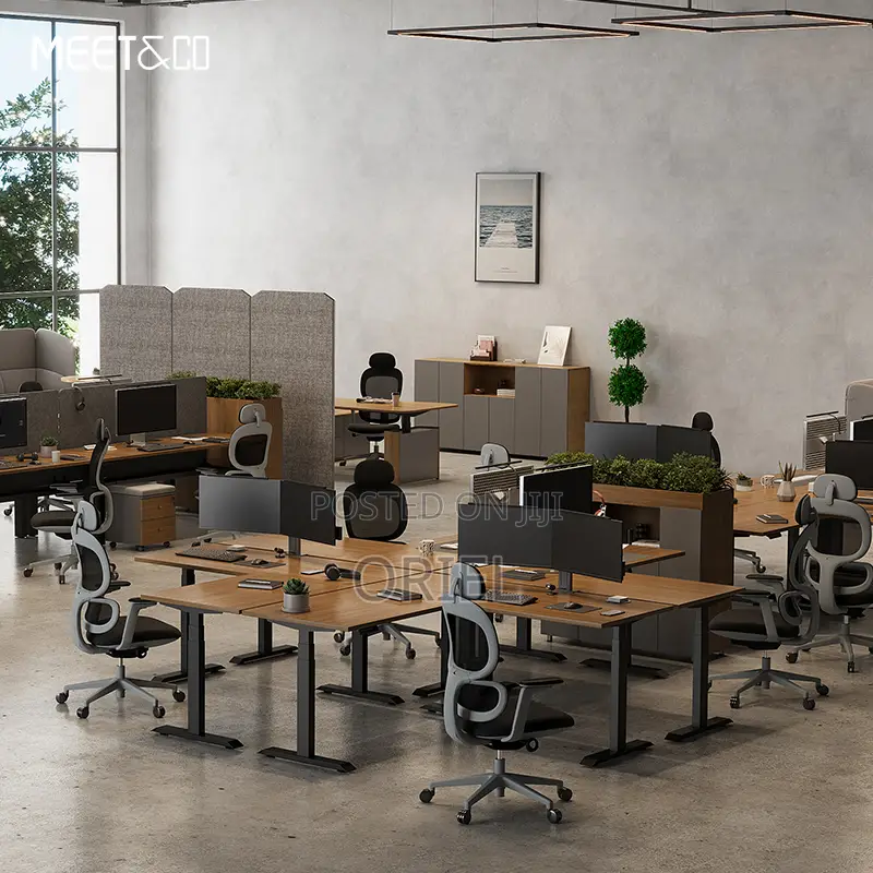 Office Desk : 1.6m Office Electric Height Adjustable Computer Desk