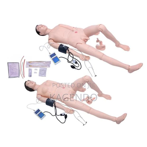 Advanced Nursing Training Model - main view