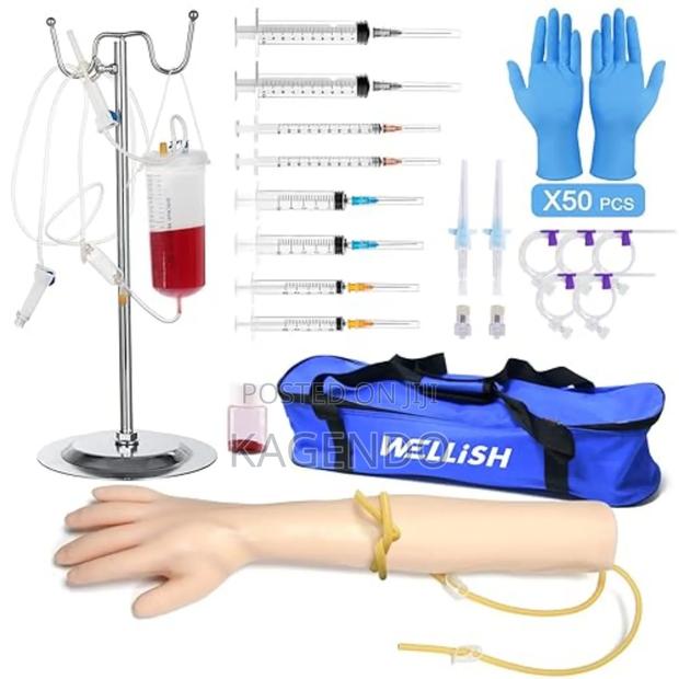 Venipuncture Intravenous Training Model