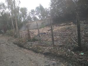 1/4 Acre Plot in Kandisi- Ongata Rongai - thumbnail 2