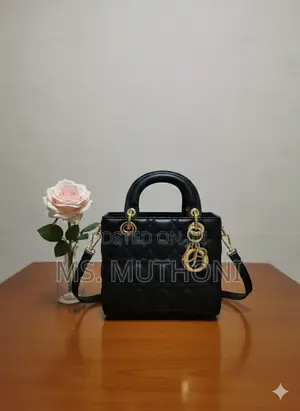 Stylish Quilted Lady Dior Mini Bags