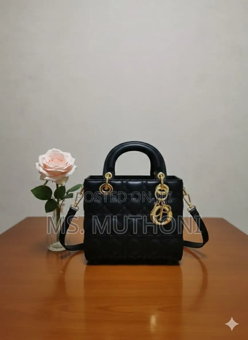 Stylish Quilted Lady Dior Mini Bags