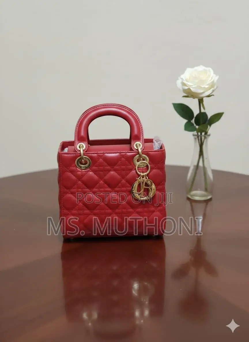 Stylish Quilted Lady Dior Mini Bags