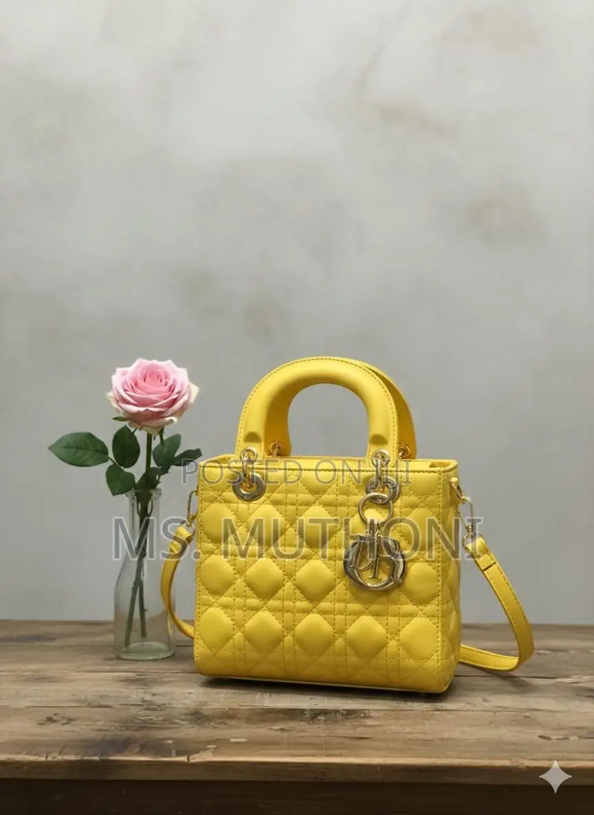 Stylish Quilted Lady Dior Mini Bags