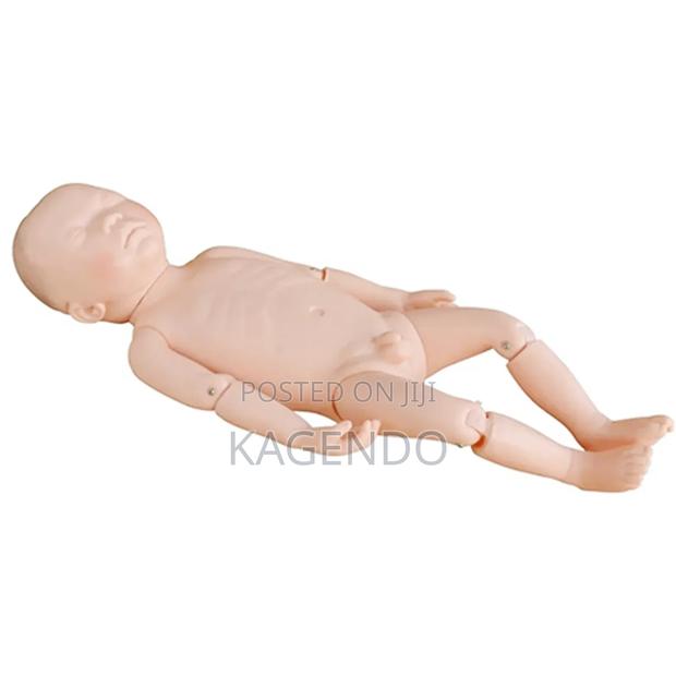 Newborn Model - main view