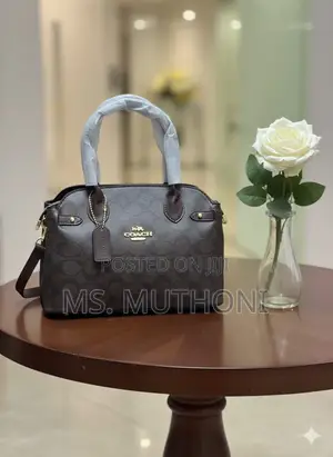Coach Empire Carryall Dupe Handbags