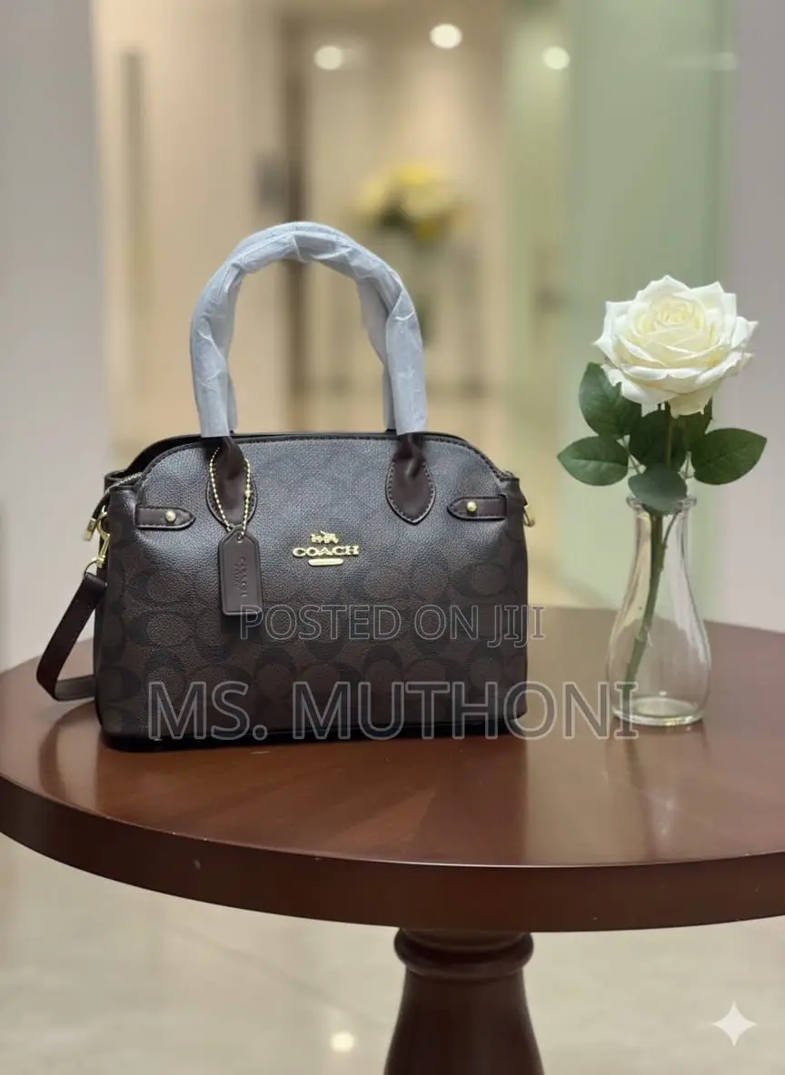 Coach Empire Carryall Dupe Handbags