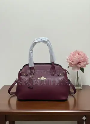 Coach Empire Carryall Dupe Handbags