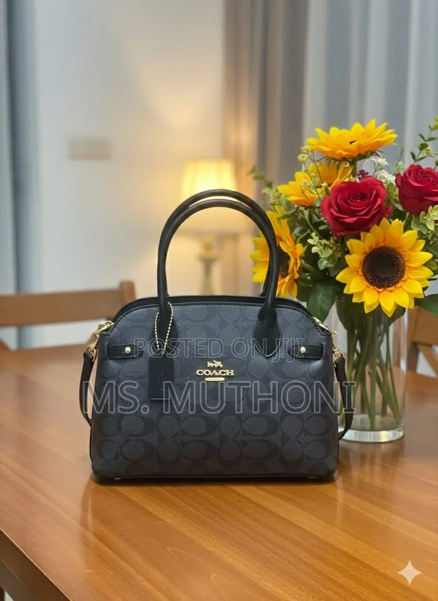 Coach Empire Carryall Dupe Handbags
