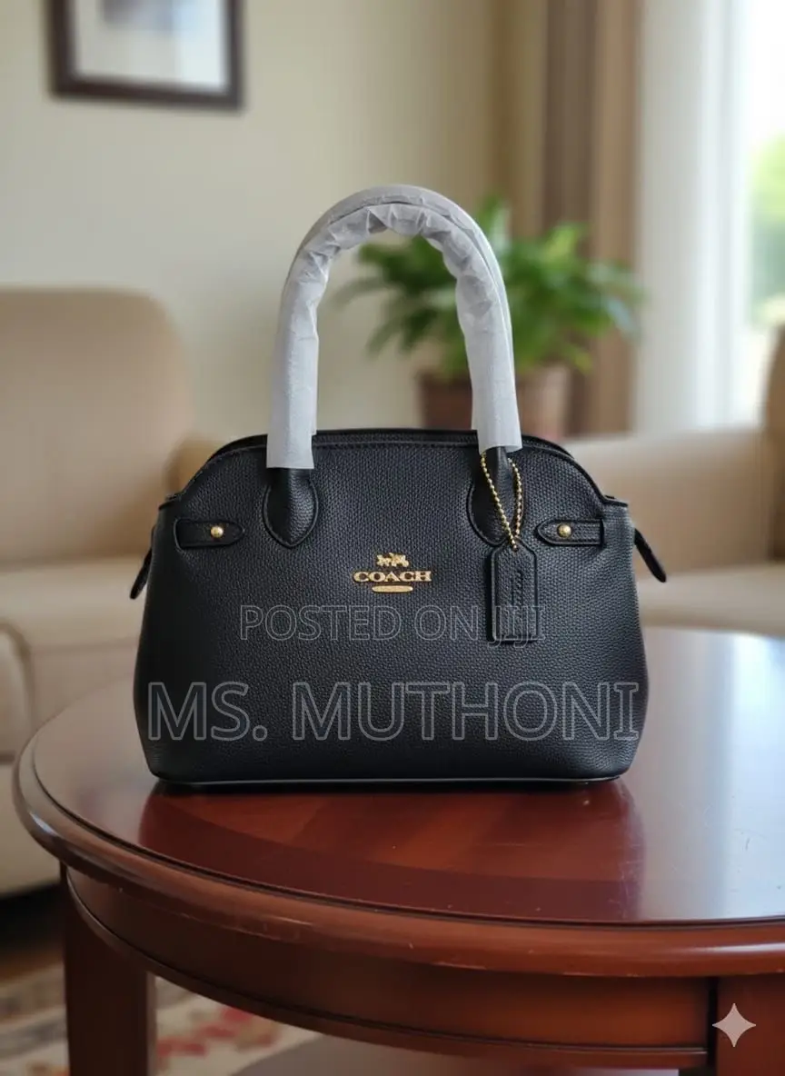 Coach Empire Carryall Dupe Handbags