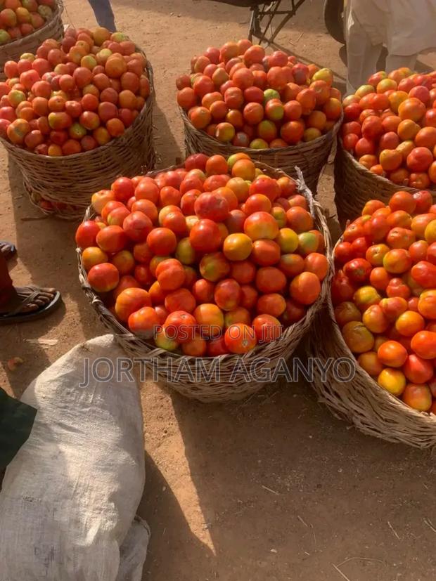 Tomatoes For Sale - thumbnail 2