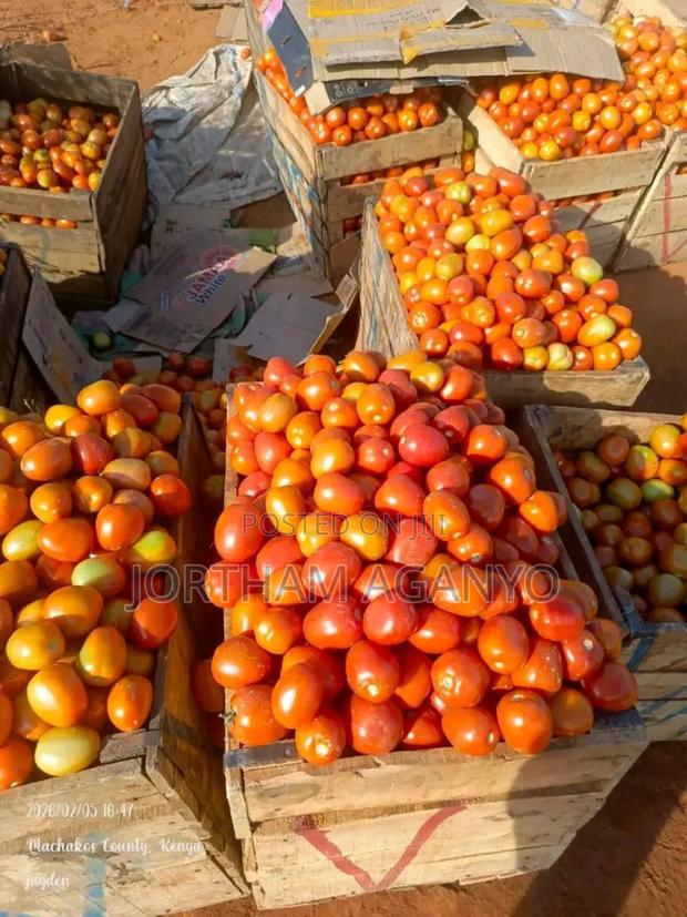 Tomatoes For Sale - main view
