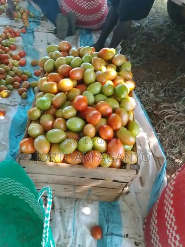 Tomatoes For Sale - thumbnail 3