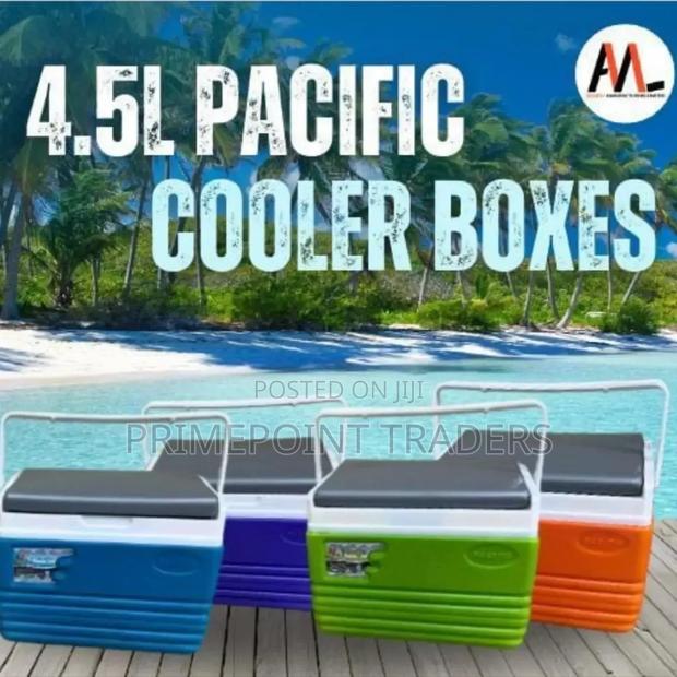 4.5l Cooler Box