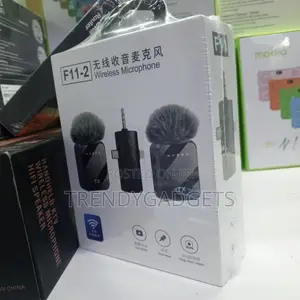 F11-2 Plug Play Wireless Microphone System
