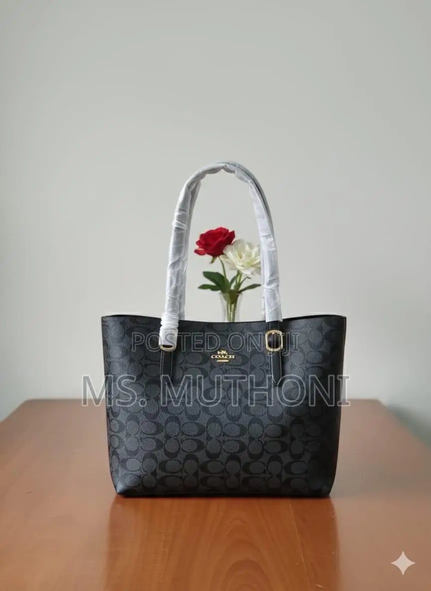 Coach Mollie Tote Dupe Bags