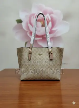 Coach Mollie Tote Dupe Bags